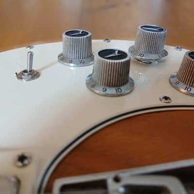 1977 Peavey T-60 – Handmade Neck, Upgraded + Original Parts image 11