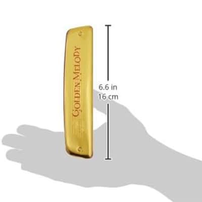 Hohner Golden Melody Tremolo Harmonica, Key of C, 3 Octave, 2416/40/C - M2416017 image 4