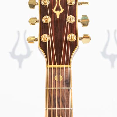 Daion Year Series '82 Six String Acoustic image 16
