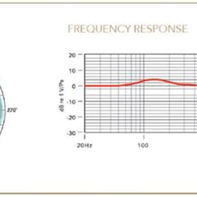 Rode End-Address Broadcaster Condenser Microphone image 5