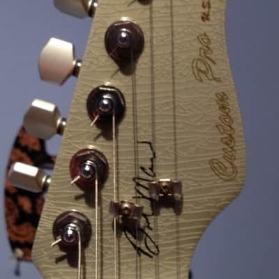 Valley Arts Custom Pro ( Rare ) Brent Mason Signiture Model 1992 Silver signed By Brent! image 2
