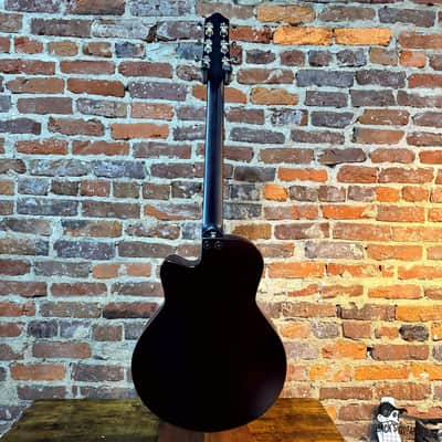 Gruhn Versitar Acoustic Guitar w/ GB (2024 - Sunburst) image 21