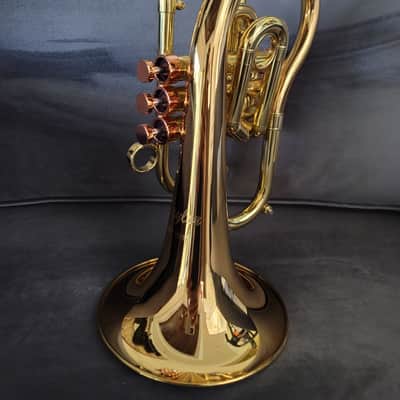 CarolBrass Pocket Flugelhorn / Taylor Phat Puppy 2024 - Polished / Lacquered image 19