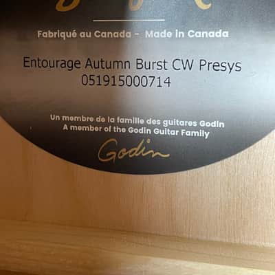 Seagull Entourage CW Presys II Acoustic-electric Guitar - Autumn Burst image 11