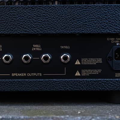 Friedman Pink Taco V2 Amplifier head image 10