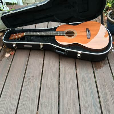Zager Acoustic-Electric "Parlor" (Truly a 12-Fret 00-000 Size) 2020 Mahogany image 18