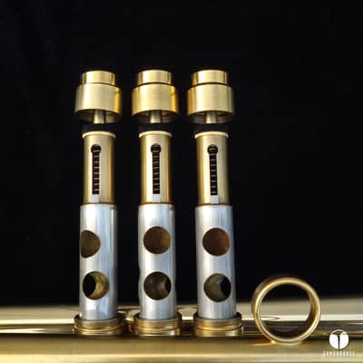Adams a4Lt 5,5 inch bell Marcus Bona case GAMONBRASS case mouthpiece image 22