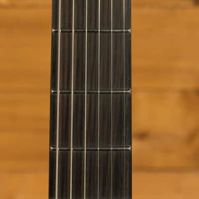 ESP LTD Mick Thomson MT-I - Obsidian Metallic image 6