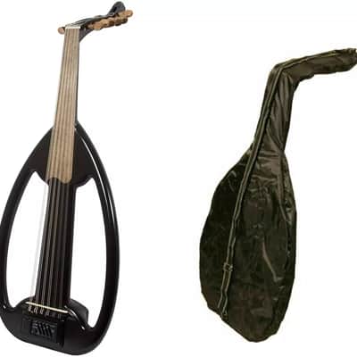 Electric Arabic Oud with Pegs – Gig Bag, Picks, Book & Extra Strings image 1