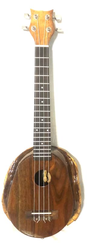 Turtle Shell Tenor Ukulele image 1