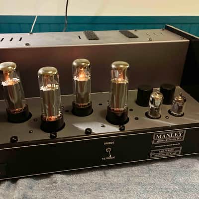 Manley Labs Monoblock(MLAB100) lste 1990's - Brown image 6