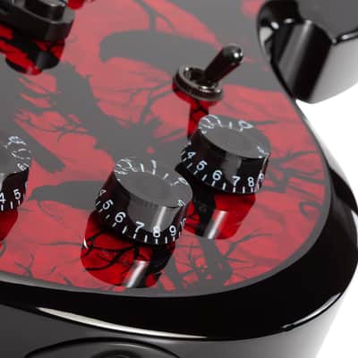 Schecter Barbarian - Blood Raven (4584) image 14