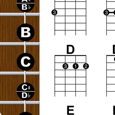 Laminated Left Handed Baritone Ukulele Chord & Notes Poster Chart 11x17 Beginner Easy Learn Book image 5