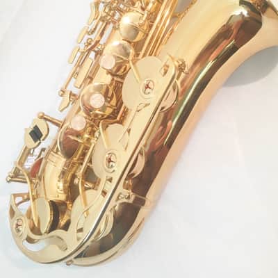 Musikwerks-Gold Lacquer Alto Saxophone-Semi Pro Level-High F#-New-Shop Warranty! image 3