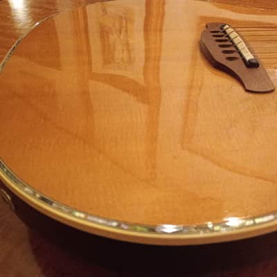 Ovation EA 1996 - Natural image 3