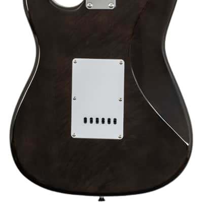 Washburn Sonamaster SDFTB Deluxe Transparent Black image 2
