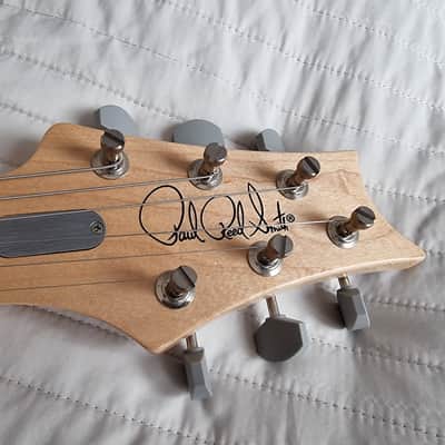 PRS Silver Sky Limited Edition 2020 - Nebula -1 of 500 - image 9