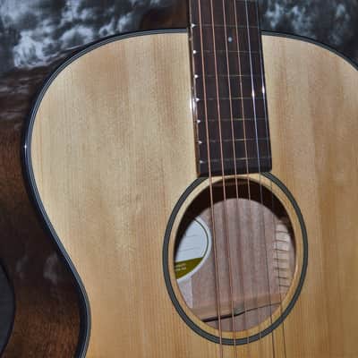 2021 Breedlove - Discovery Concert  - Natural image 2