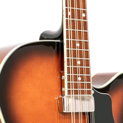 Gold Tone Acoustic Electric Mandocello, Mandolin Cello Hybrid Instrument w/Case image 3