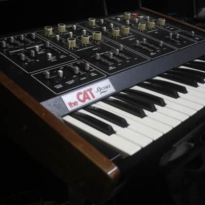 The Cat by Octave Vintage 37 Key Analog Duophonic Synthesizer image 15