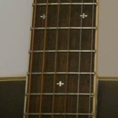 Fender F-240A and Levy's Cowboy Case F-240A 1980's - Gloss image 17