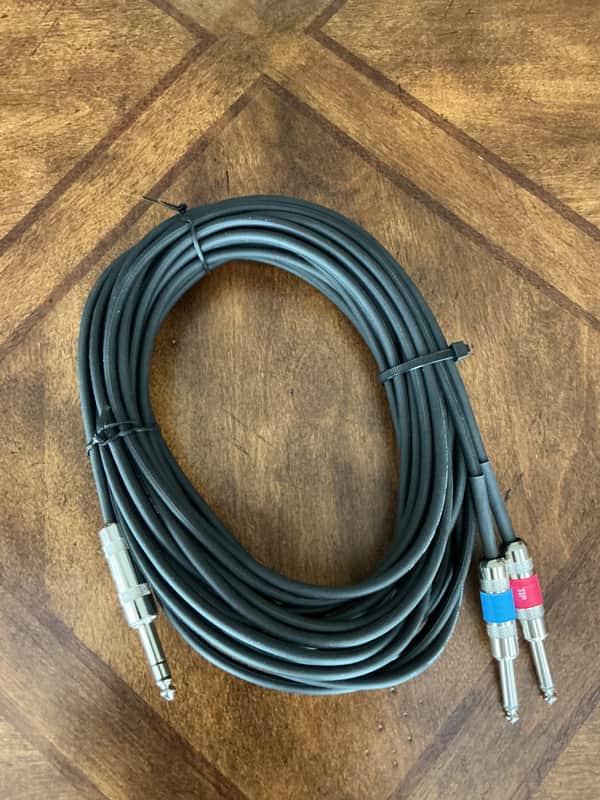 Pro Co IPBQ2Q-20 1/4-inch TRS Male to Dual 1/4-inch TRS Male Insert Cable - 20 foot image 1