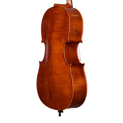 Testore Cello 4/4 from One Piece Back – Hand-Made in Romania 2025 #76 image 5