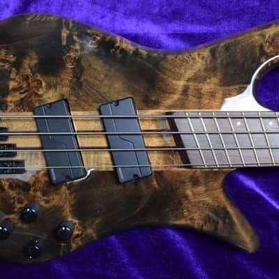 Spector NS Dimension 4-String, Super Faded Black Gloss Over Poplar Burl / Wenge Fingerboard image 1
