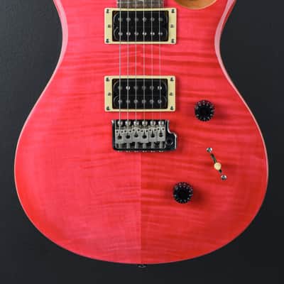 Paul Reed Smith SE Custom 24 '22 image 2