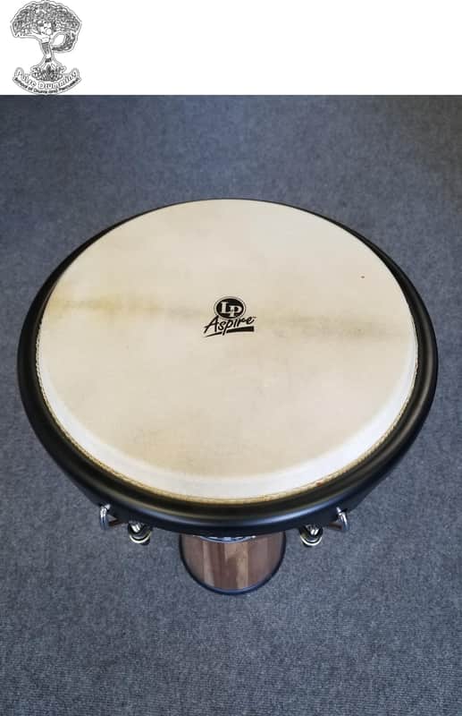 LP Aspire Jamjuree Djembe image 1