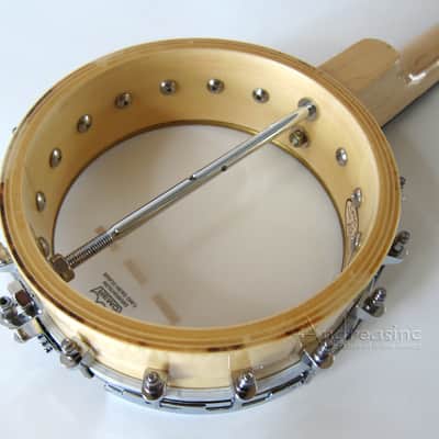 Gold Tone 5-String Mini Open Back Banjo w/ Gig Bag image 4