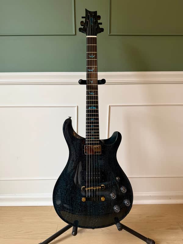PRS McCarty 594 Private Stock - Thinline Black Subzero Doghair image 1