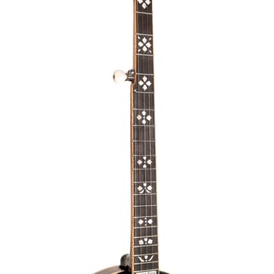 Gold Tone OB-250: Lightweight Orange Blossom Banjo with Case image 9
