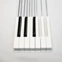 Yamaha CS-80 [Original Replacement Keys One Octave Lot]