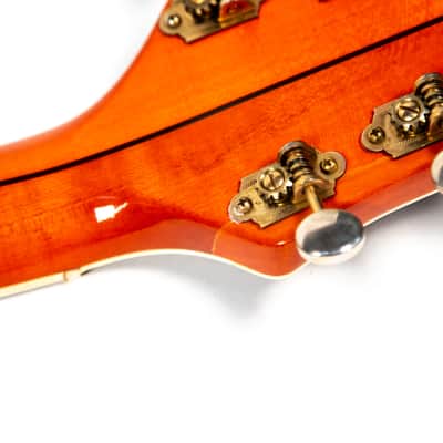 Gretsch 1956 Rancher Owned by Brian Setzer image 18