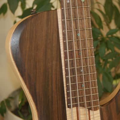 Ibanez BTB 885 SC Terra Firma image 4