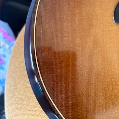 Taylor Builder's Edition 652ce WHB 2020 - Present - Wild Honey Burst image 8