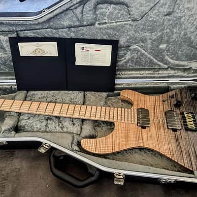 Mayones Regius 6 | Reverb