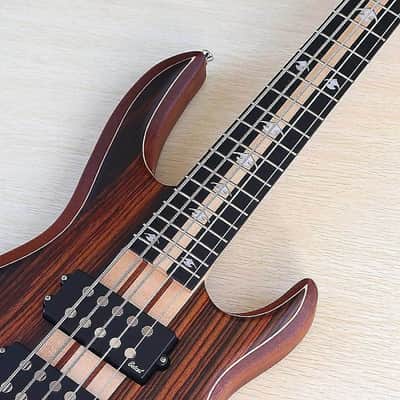 Custom 5 String Electric Bass, Hickory Wood Top Body, Maple Neck Through, 24 Frets image 10