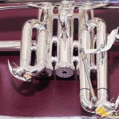 Brasspire Unicorn BPFG-850SS (NEW) Flugelhorn image 3