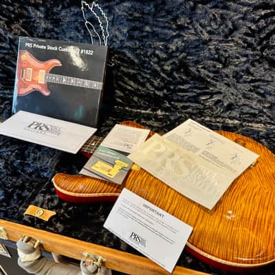 2008 PRS Private Stock Custom 22 #1822 image 10