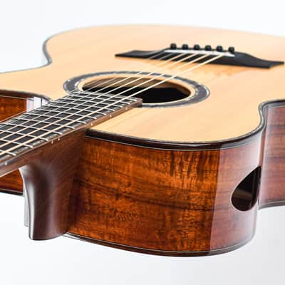 BSG GA45CF Fan Fret Recent image 10