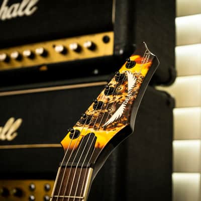 Dean Dean Dave Mustaine V 'End Game' VMNT 2000's - End Game Graphics image 3