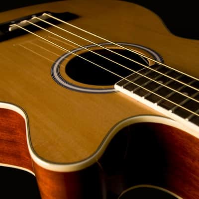 Washburn AB5K Spruce Top Mahogany Neck 4-String Acoustic Bass Guitar w/Gig Bag image 7