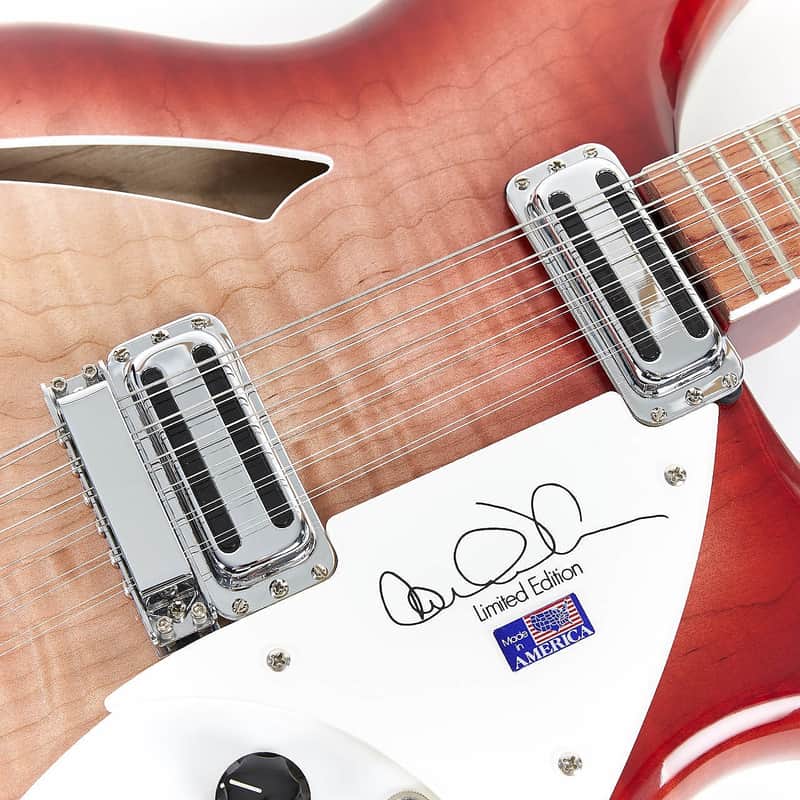 Rickenbacker 360/12CW Carl Wilson image 4