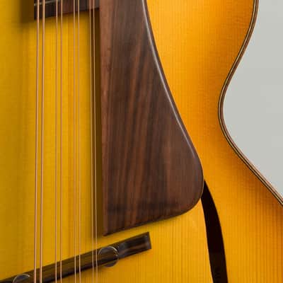 Bayard Blaine-Bayard Guitars L-5 Multi-Scale Carved Top Mandocello (2025), ser. #0313, molded fiberglass hard shell case. image 13