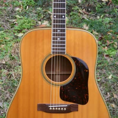 1975 Takamine Elite Doc Watson TW-30G Natural+retro case image 4