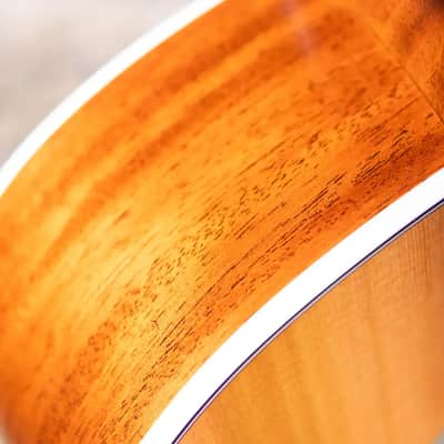 Taylor Next Generation 514ce Grand Auditorium Acoustic/Electric Guitar with Hardshell Case - Factory Demo image 9