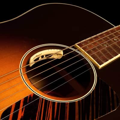 LR Baggs Anthem Acoustic Guitar Soundhole Pickup TRU-MIC and Element Pickup Bundle w/ 12x Guitar Picks and Liquid Audio Guitar Polishing Cloth - Soundhole Pickup for Acoustic Guitar, Guitar Microphone image 3