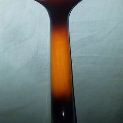 Johnson Oval Hole Acoustic Model MA-100 Needs New Strings and Tailpiece Cover image 5